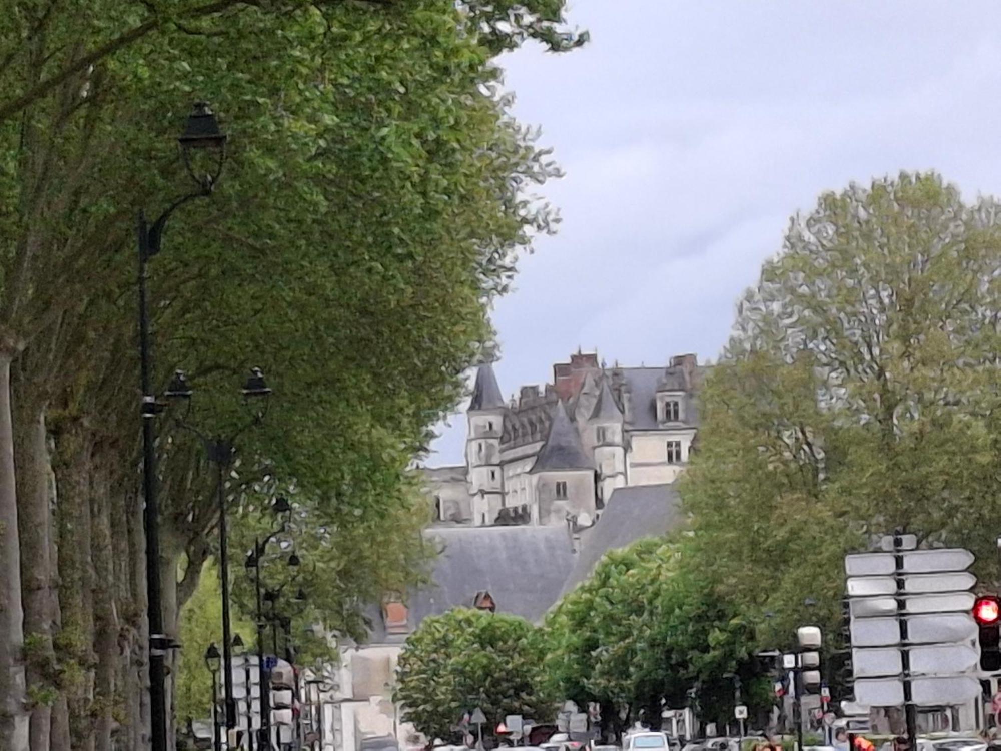 Escale Au Pied Du Chateau Amboise Exteriér fotografie